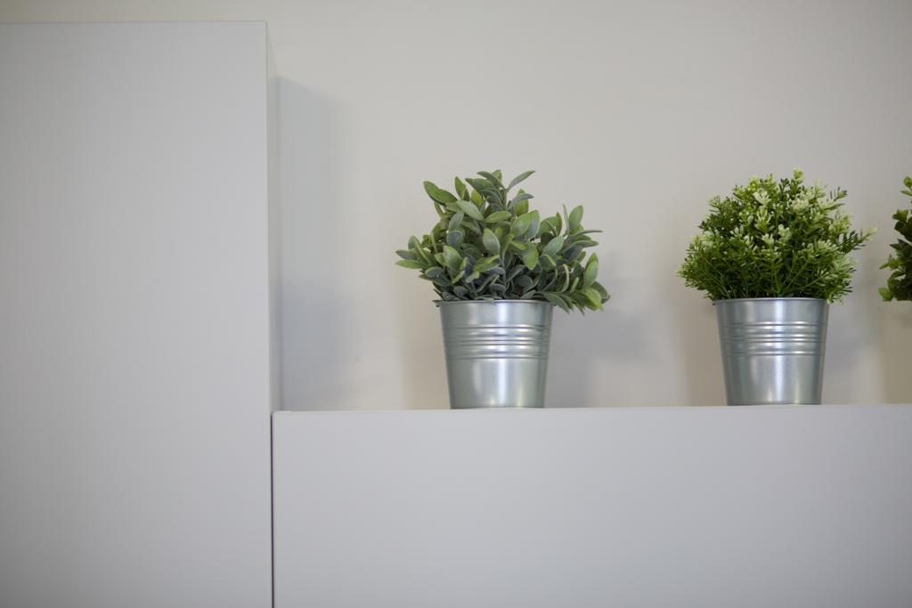 Apartamento Beccaria *